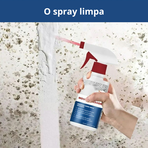 Spray de espuma para remover o mofo